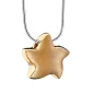 Angelic Star™ Stern Asche Anhänger vergoldet mit Halskette