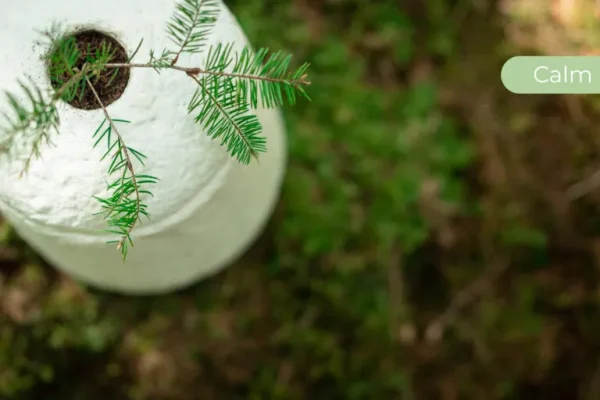 Loop EarthRise™ Calm paddenstoelen bio urn 9