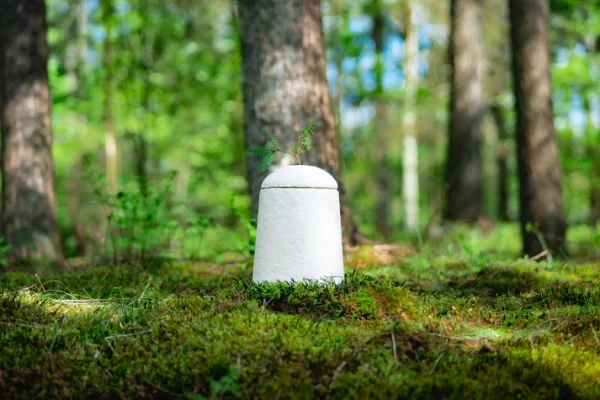 Loop EarthRise™ Calm paddenstoelen bio urn 2