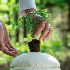 Loop EarthRise™ Calm – Bild 4