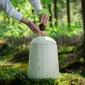 Loop EarthRise™ Calm Pilze / Myzel Bio-Urne