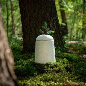 Loop EarthRise™ Calm – Bild 7