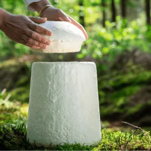 Loop EarthRise™ Calm paddenstoelen bio urn 3