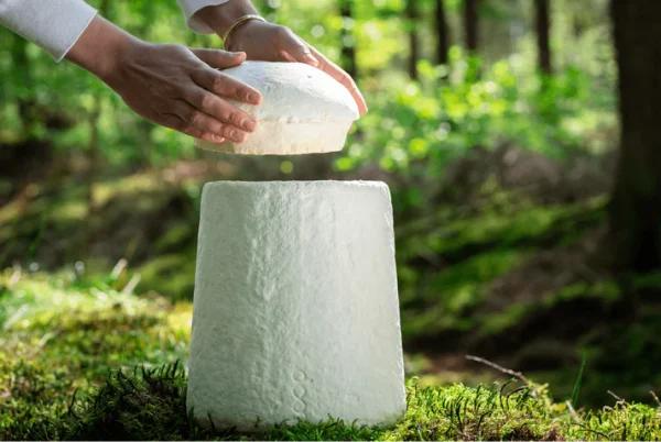 Loop EarthRise™ Calm paddenstoelen bio urn 3