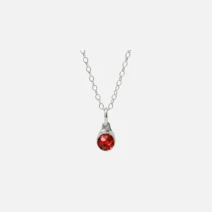 Birthstone Asche Anhänger Januar Granat Edelstahl – Bild 3