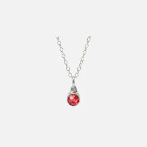 Birthstone Asche Anhänger Juli Rubin Edelstahl – Bild 3